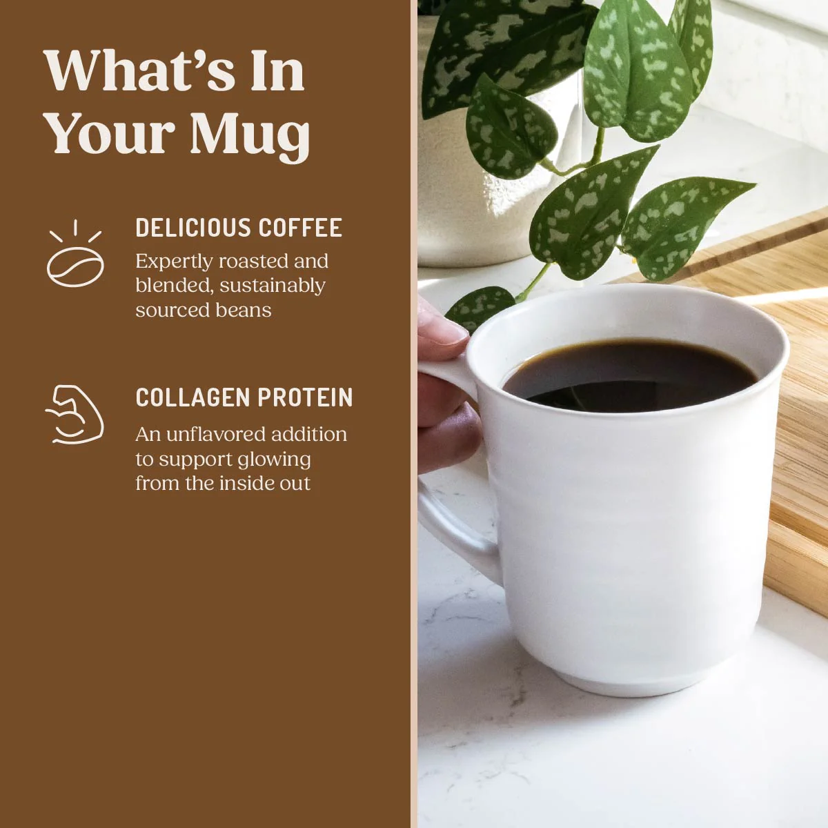 The Original + Collagen Coffee Pods, 24 ct. - Image 4